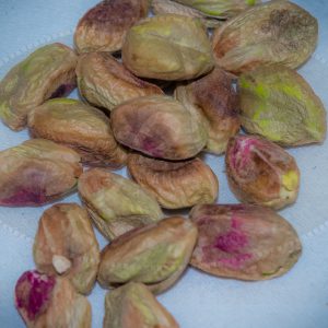 buy pista kernel in pakistan